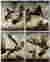 Koji FURUDOI Galerie Peinture / Painting Gallery 08_photo_10