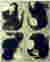 Koji FURUDOI Galerie Peinture / Painting Gallery 09_photo_7